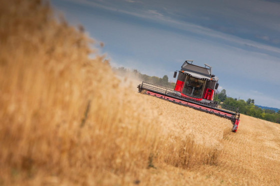 MF Beta sērijas kombaini